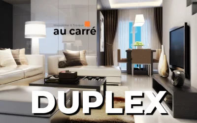 Duplex à vendre Lyon Villeurbanne